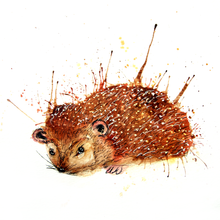 Load image into Gallery viewer, Hedgehog Print