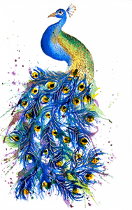 Peacock print