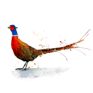 Pheasant Greeting Card